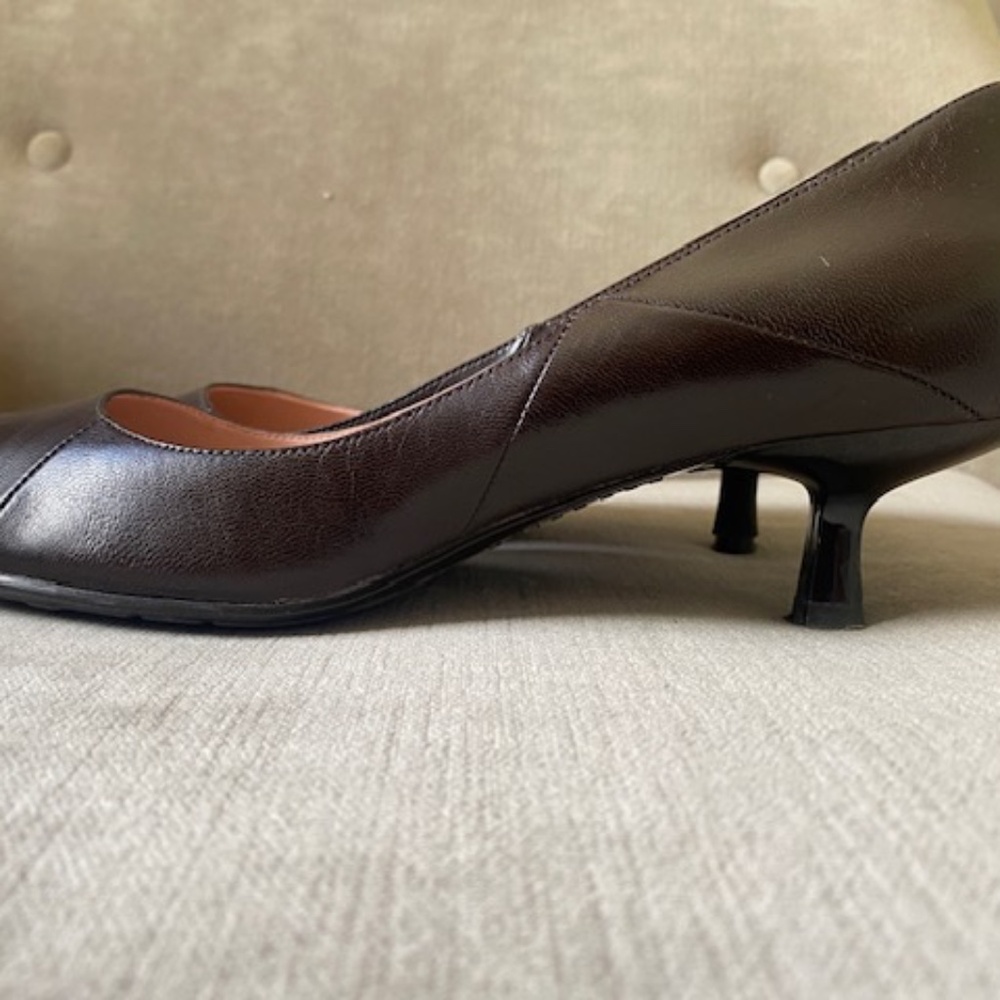 Brown leather shoes